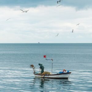 pexels photo 37388340 37388340 Solitary fisherman in a small boat on a calm sea, surrounded by seagulls under a cloudy sky.