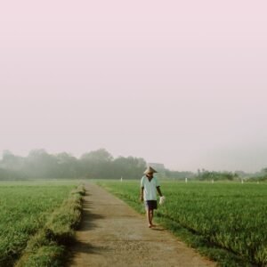 pexels photo 9132373 9132373 A solitary farmer walks through lush rice fields in Mlonggo, Central Java, at dawn.